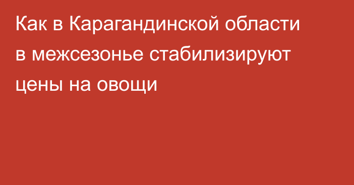 Как в Карагандинской области в межсезонье стабилизируют цены на овощи