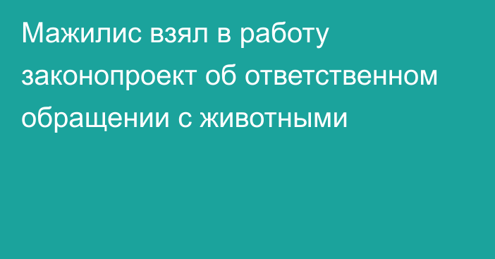 Мажилис взял в работу законопроект об ответственном обращении с животными