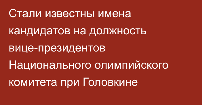 Стали известны имена кандидатов на должность вице-президентов Национального олимпийского комитета при Головкине