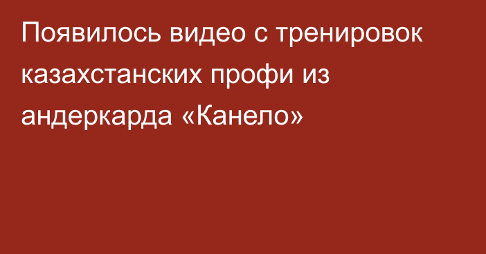 Появилось видео с тренировок казахстанских профи из андеркарда «Канело»