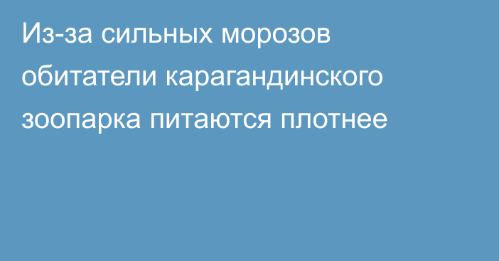 Из-за сильных морозов обитатели карагандинского зоопарка питаются плотнее