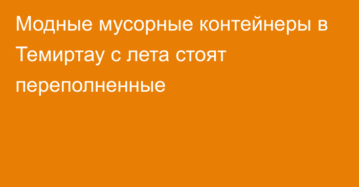 Модные мусорные контейнеры в Темиртау с лета стоят переполненные