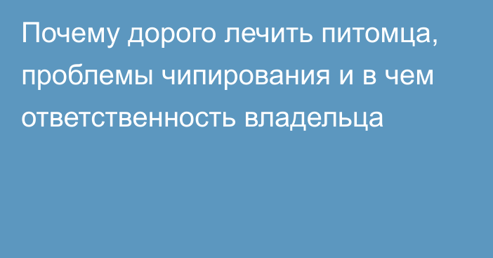 Почему дорого лечить питомца, проблемы чипирования и в чем ответственность владельца