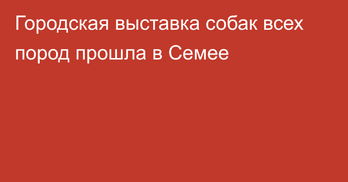 Городская выставка собак всех пород прошла в Семее