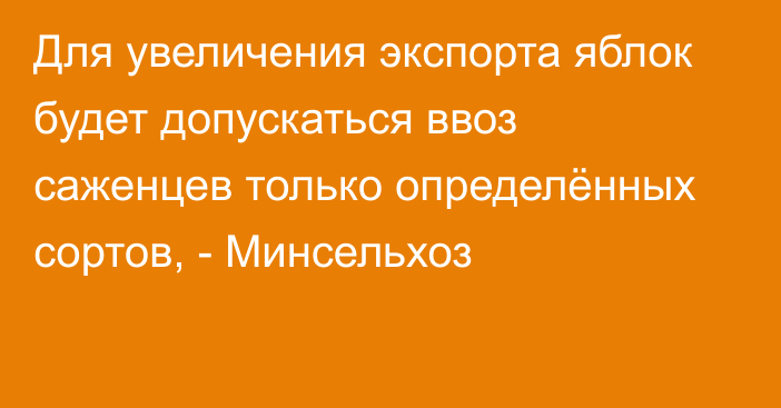 Для увеличения экспорта яблок будет допускаться ввоз саженцев только определённых сортов, - Минсельхоз