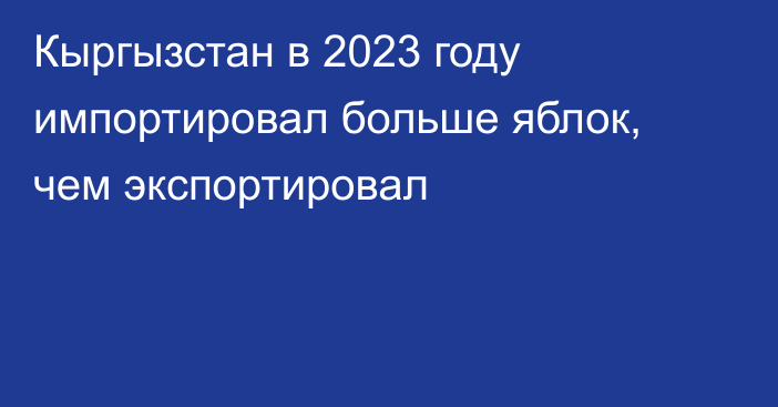 Кыргызстан в 2023 году импортировал больше яблок, чем экспортировал