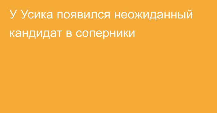 У Усика появился неожиданный кандидат в соперники