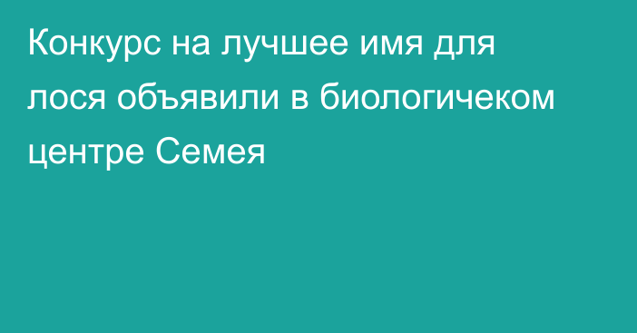 Конкурс на лучшее имя для лося объявили в биологичеком центре Семея