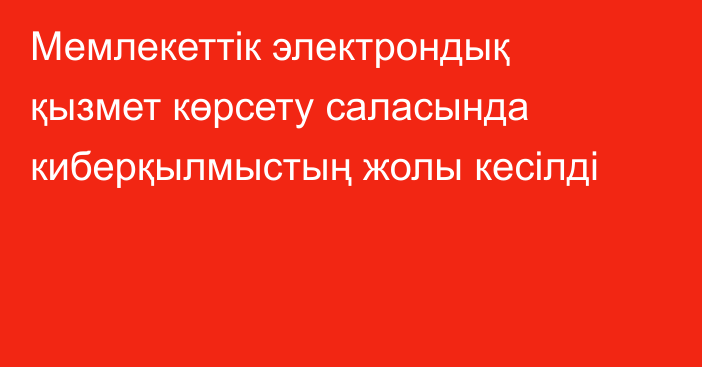 Мемлекеттік электрондық қызмет көрсету саласында киберқылмыстың жолы кесілді