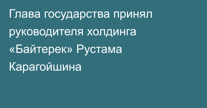 Глава государства принял руководителя холдинга «Байтерек» Рустама Карагойшина