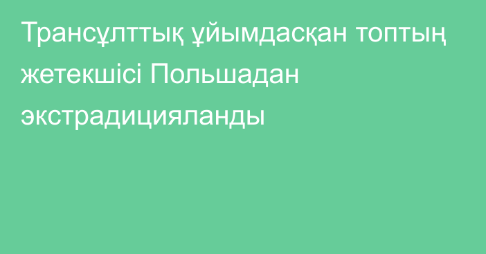 Трансұлттық ұйымдасқан топтың жетекшісі Польшадан экстрадицияланды