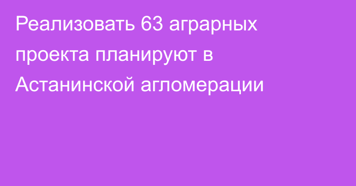 Реализовать 63 аграрных проекта  планируют в Астанинской агломерации