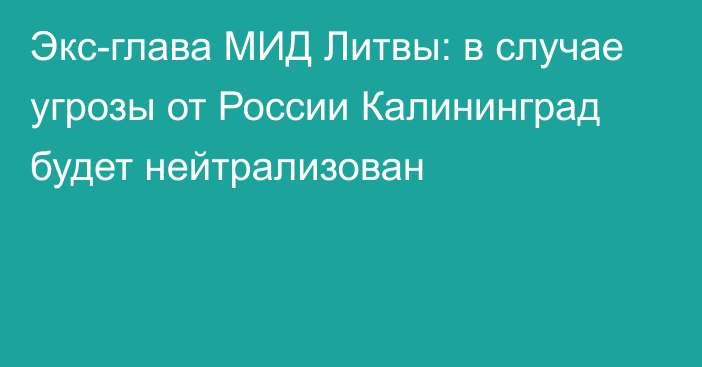 Экс-глава МИД Литвы: в случае угрозы от России Калининград будет нейтрализован