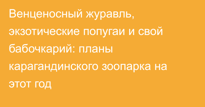 Венценосный журавль, экзотические попугаи и свой бабочкарий: планы карагандинского зоопарка на этот год