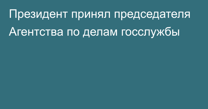 Президент принял председателя Агентства по делам госслужбы