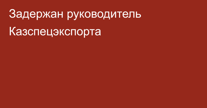 Задержан руководитель Казспецэкспорта