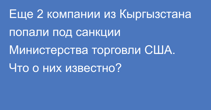 Еще 2 компании из Кыргызстана попали под санкции Министерства торговли США. Что о них известно?