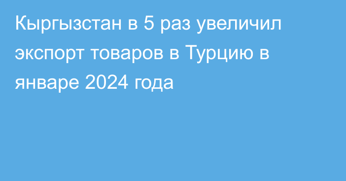 Кыргызстан в 5 раз увеличил экспорт товаров в Турцию в январе 2024 года