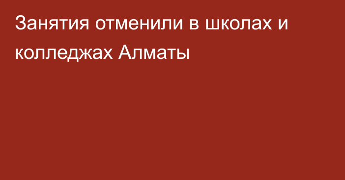 Занятия отменили в школах и колледжах Алматы