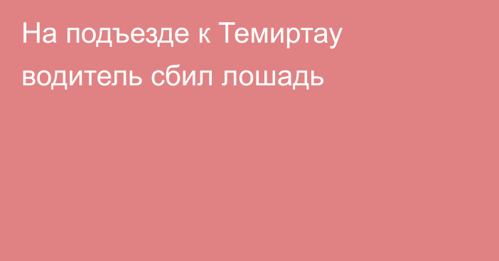 На подъезде к Темиртау водитель сбил лошадь