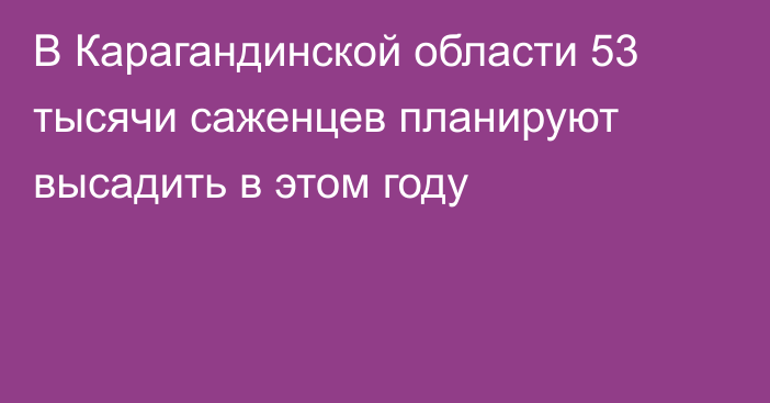 В Карагандинской области 53 тысячи саженцев планируют высадить в этом году