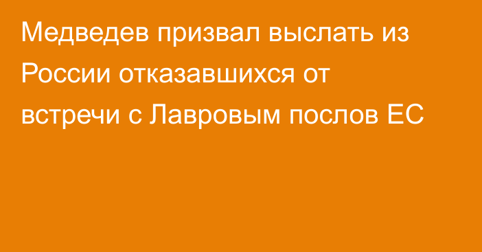 Медведев призвал выслать из России отказавшихся от встречи с Лавровым послов ЕС