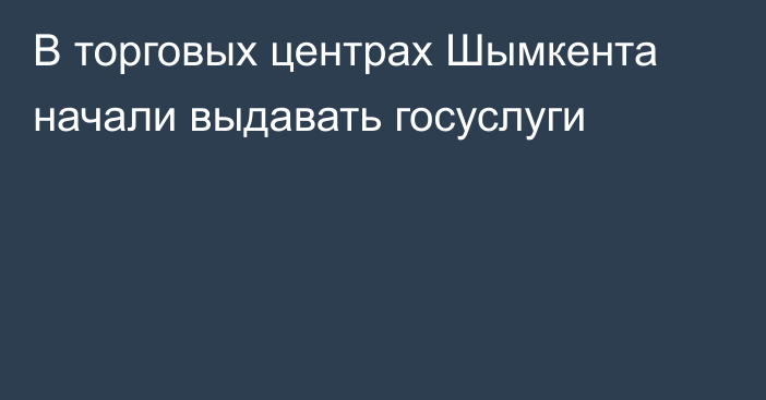 В торговых центрах Шымкента начали выдавать госуслуги