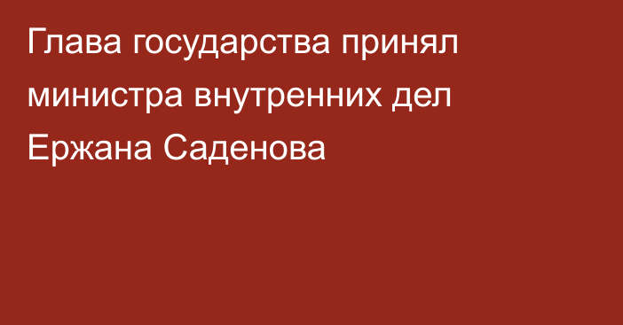 Глава государства принял министра внутренних дел Ержана Саденова