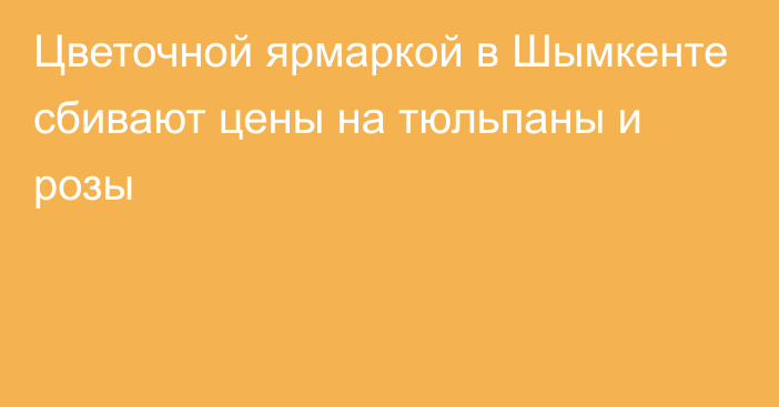 Цветочной ярмаркой в Шымкенте сбивают цены на тюльпаны и розы