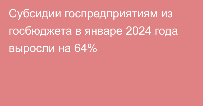 Субсидии госпредприятиям из госбюджета в январе 2024 года выросли на 64%