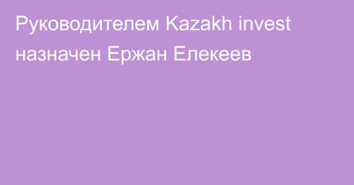 Руководителем Kazakh invest назначен Ержан Елекеев