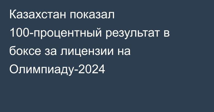 Казахстан показал 100-процентный результат в боксе за лицензии на Олимпиаду-2024