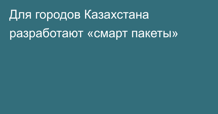 Для городов Казахстана разработают «смарт пакеты»