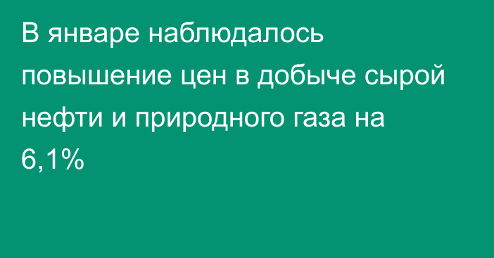 В январе наблюдалось повышение цен в добыче сырой нефти и природного газа на 6,1%