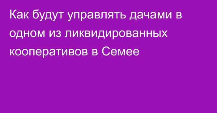 Как будут управлять дачами в одном из ликвидированных кооперативов в Семее