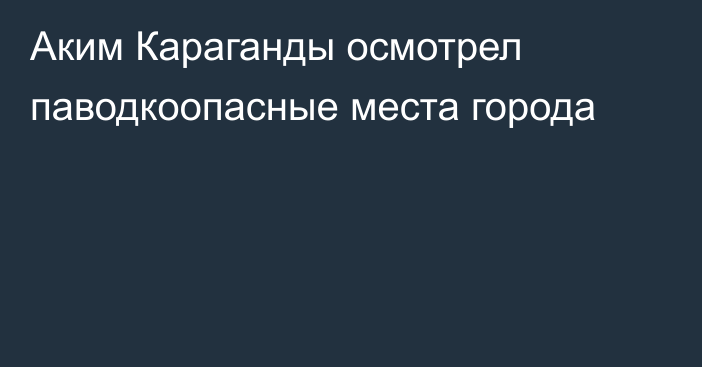 Аким Караганды осмотрел паводкоопасные места города