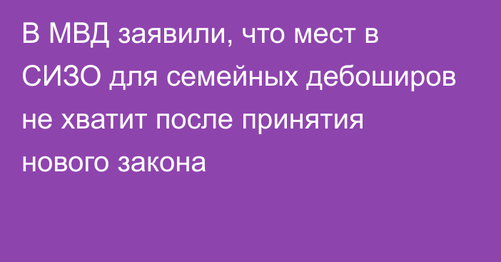 В МВД заявили, что мест в СИЗО для семейных дебоширов не хватит после принятия нового закона