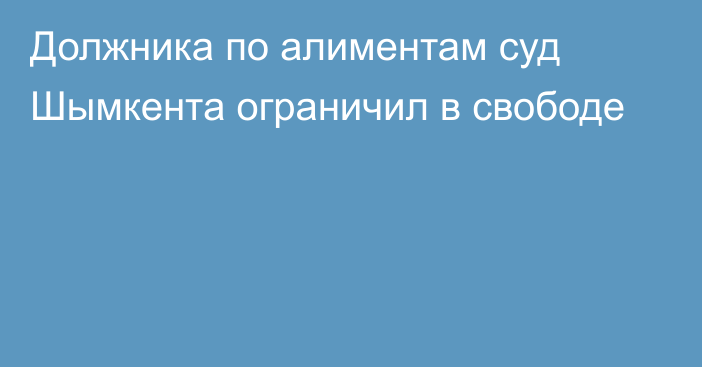 Должника по алиментам суд Шымкента ограничил в свободе