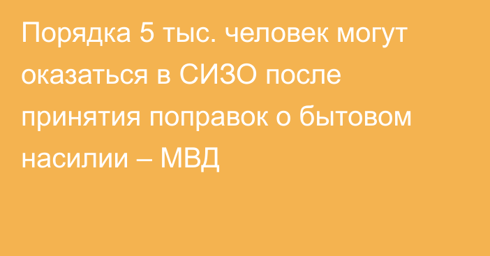 Порядка 5 тыс. человек могут оказаться в СИЗО после принятия поправок о бытовом насилии – МВД