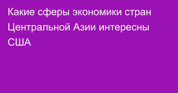 Какие сферы экономики стран Центральной Азии интересны США