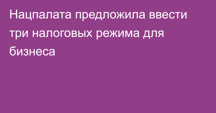 Нацпалата предложила ввести три налоговых режима для бизнеса