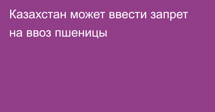 Казахстан может ввести запрет на ввоз пшеницы