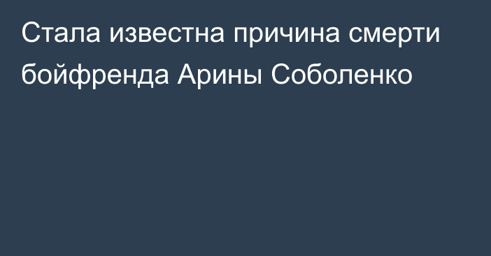 Стала известна причина смерти бойфренда Арины Соболенко