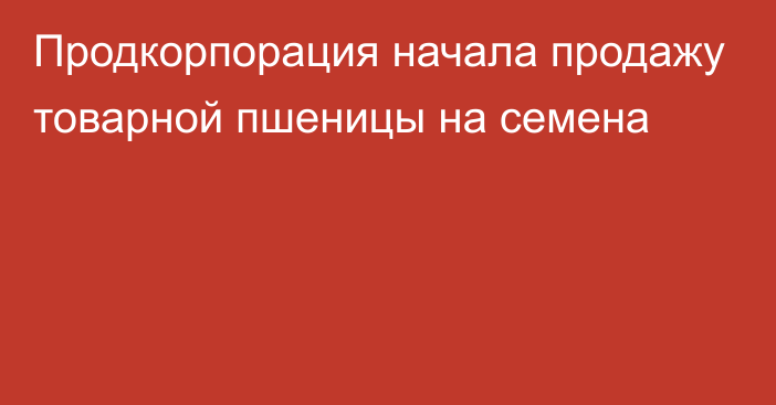 Продкорпорация начала продажу товарной пшеницы на семена