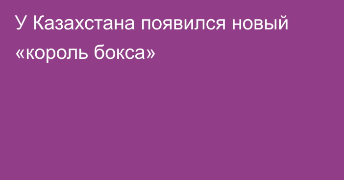 У Казахстана появился новый «король бокса»