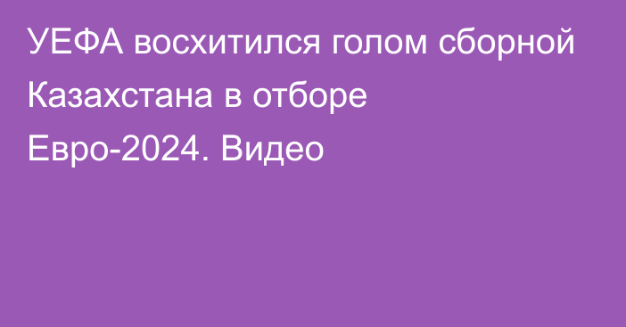 УЕФА восхитился голом сборной Казахстана в отборе Евро-2024. Видео