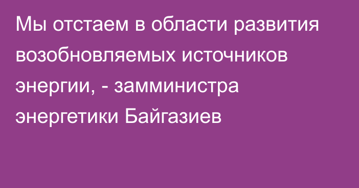 Мы отстаем в области развития возобновляемых источников энергии, - замминистра энергетики Байгазиев