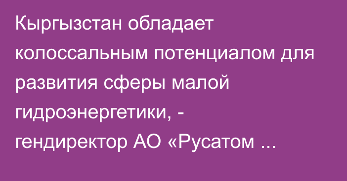 Кыргызстан обладает колоссальным потенциалом для развития сферы малой гидроэнергетики, - гендиректор АО «Русатом Сервис» Е.Сальков