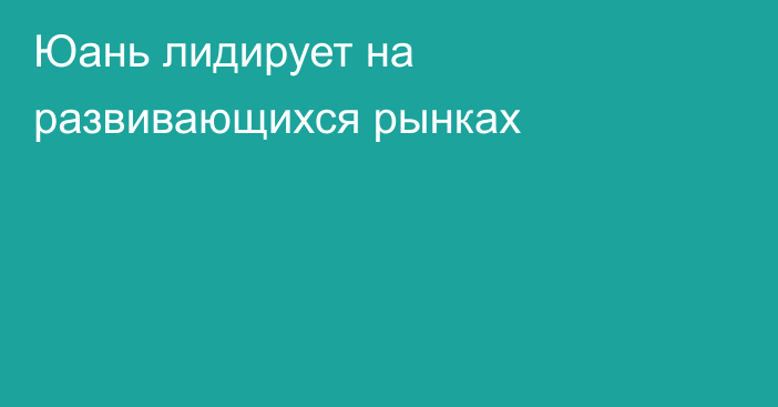 Юань лидирует на развивающихся рынках