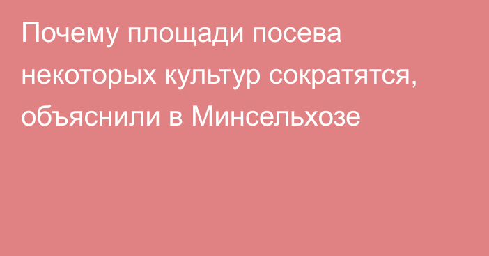 Почему площади посева некоторых культур сократятся, объяснили в Минсельхозе